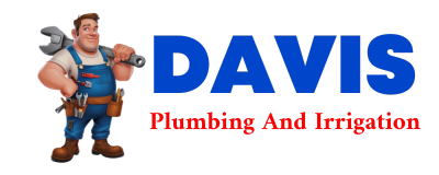 Trusted plumber in COLONA